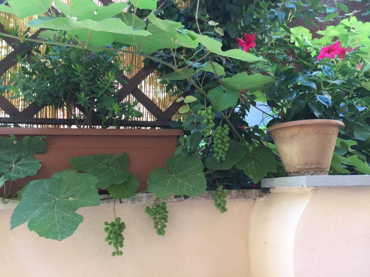 Testaccio Historic House Rome Exterior photo